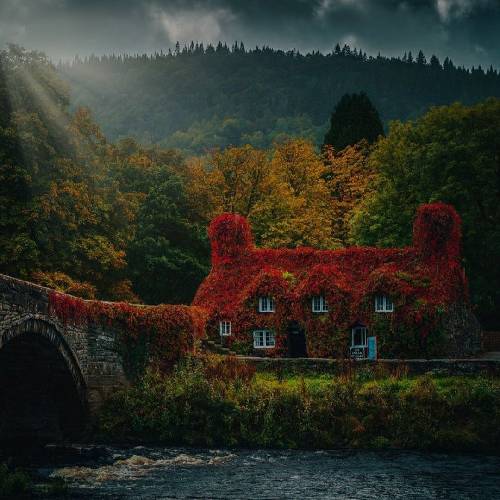 امین ملاها بیا بیا من ته خط رسیدم بیا ببین چی دیدم و‌ کشیدم